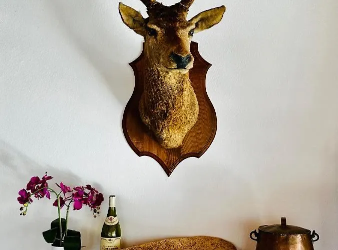 Hl De La Loire Goudet